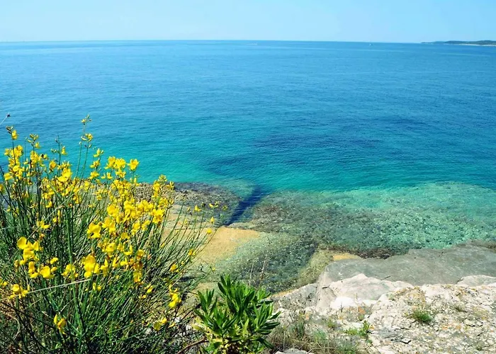 Διαμέρισμα Rojnic